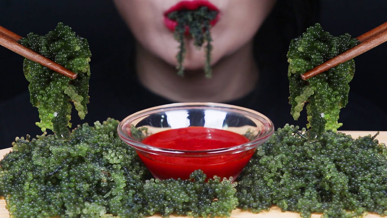 ASMR Sea Grapes Mukbang 바다포도 리얼사운드먹방 Anggur laut 海ぶどう องุ่นทะเล 이팅사운드