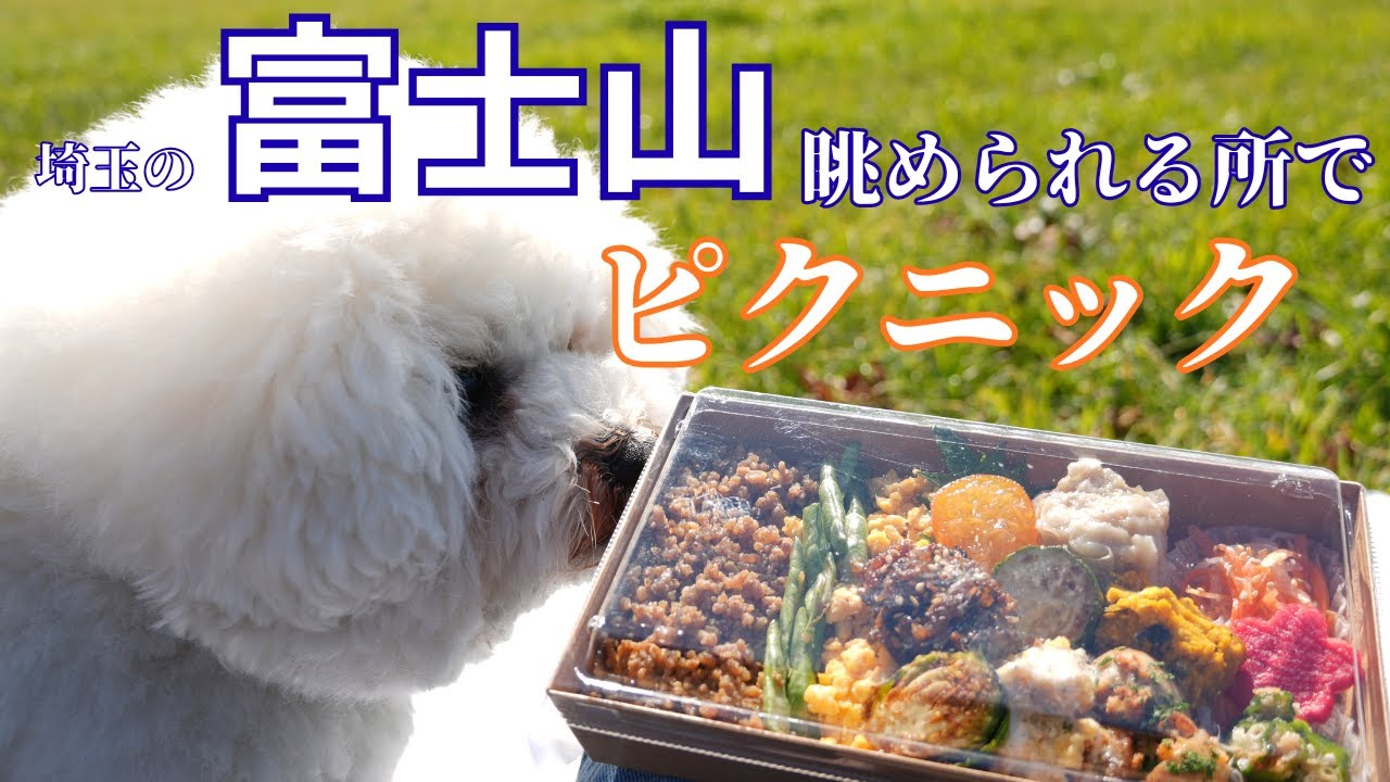 【犬連れ】川口駅から富士山が見えるスポットへ散歩