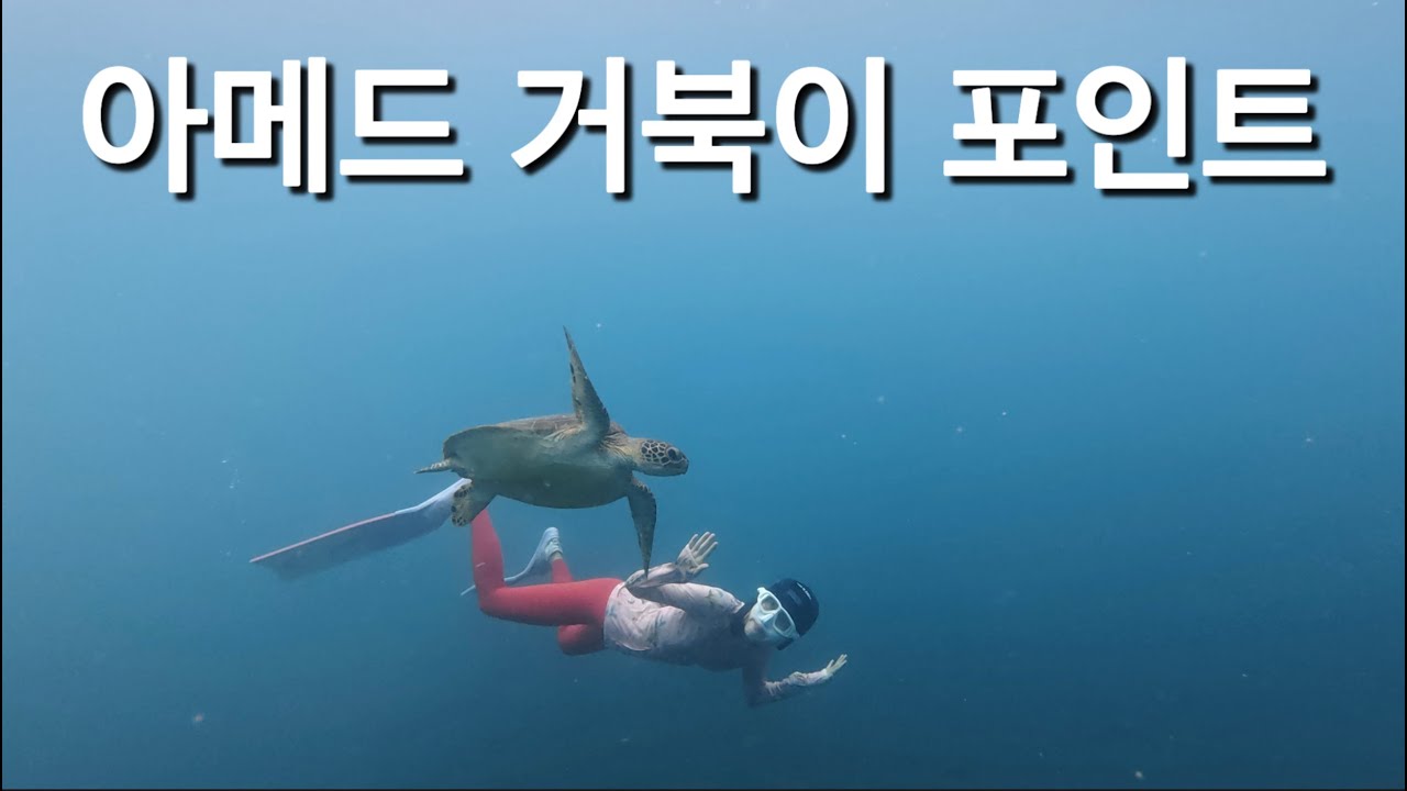 발리 스노클링 아메드 비치 vs 즈믈럭 비치