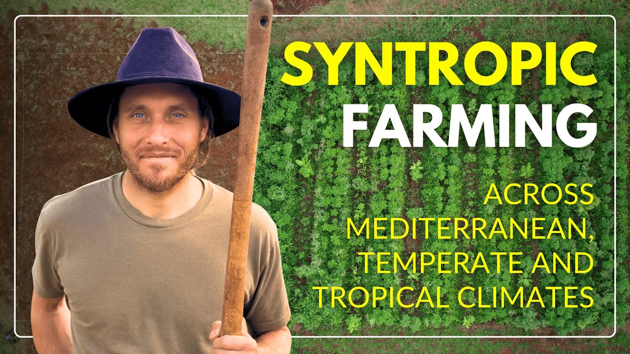 Syntropic Farming: Across Mediterranean, Temperate and Tropical Climates