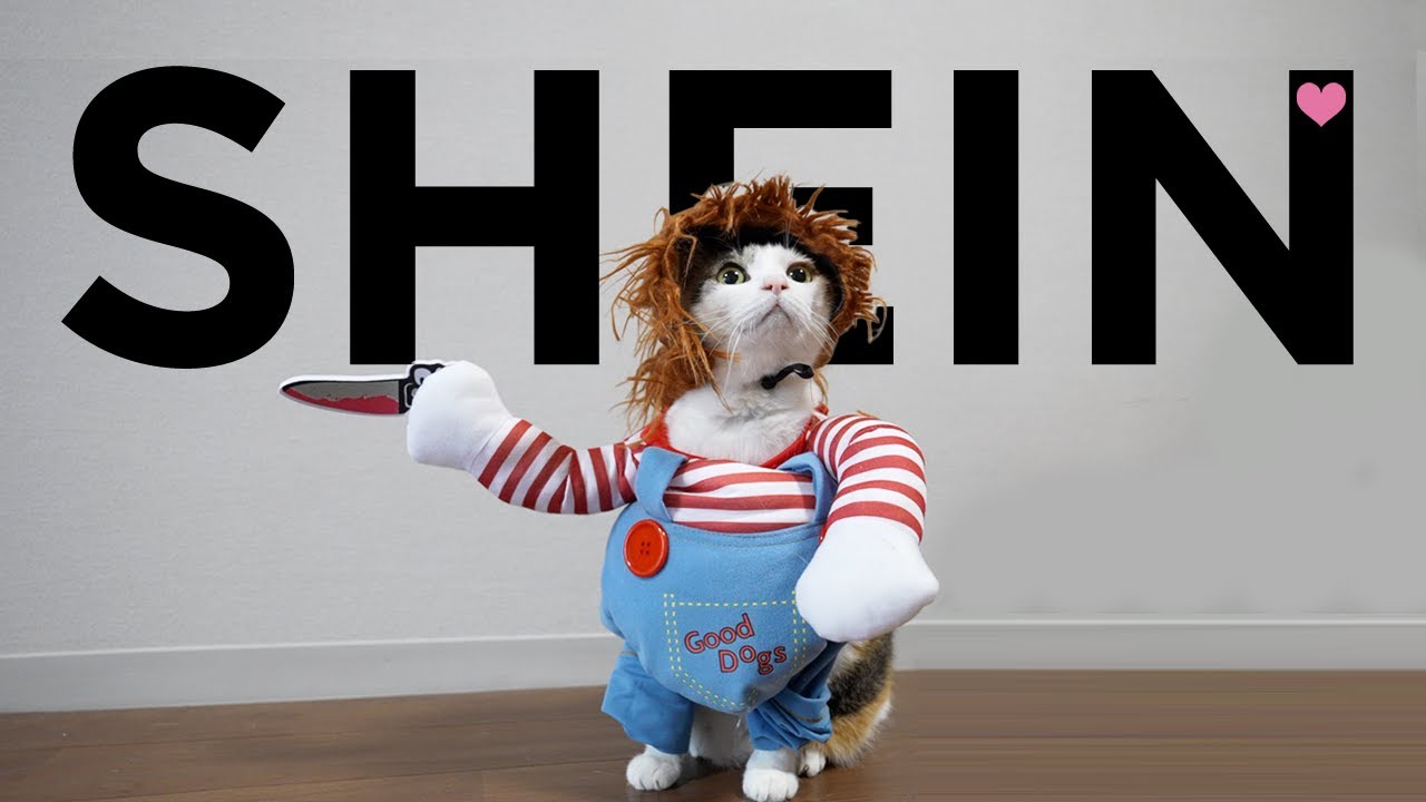 SHEINで猫グッズ買ったらマジクソかわ最高なんだけどぅ〜！