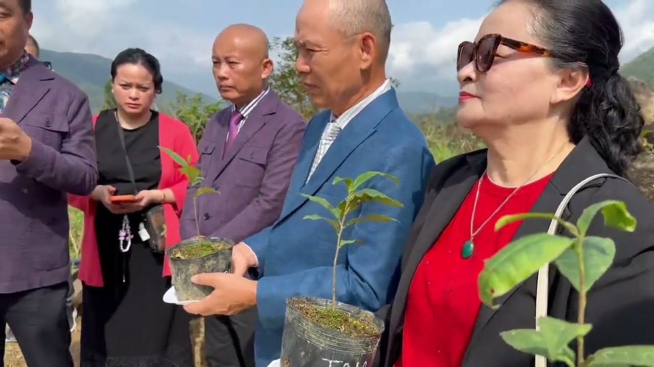 20260301 - LỄ TRỒNG TRÀ CỔ