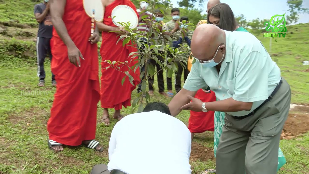 හේලීස් සමූහයේ ගරු සභාපති මොහාන් පණ්ඩිතගේ මහතාගේ ජන්ම දිනය නිමිත්තෙන් සිදුකරන ලද පලතුරු පැළ රෝපණය
