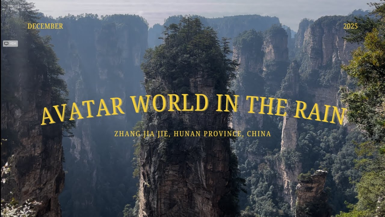 rainy days in Zhangjiajie 2025 | my first bungee jump, scenic views, guangzhou side quest