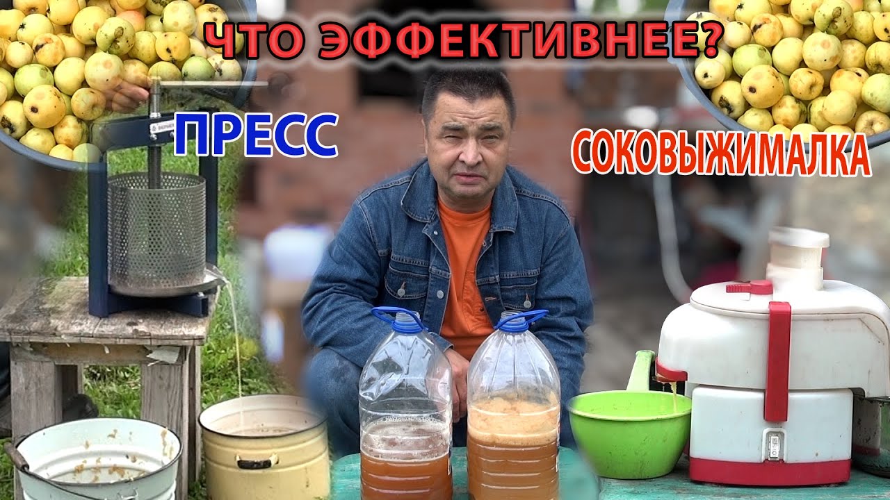 Что эффективнее - пресс или соковыжималка