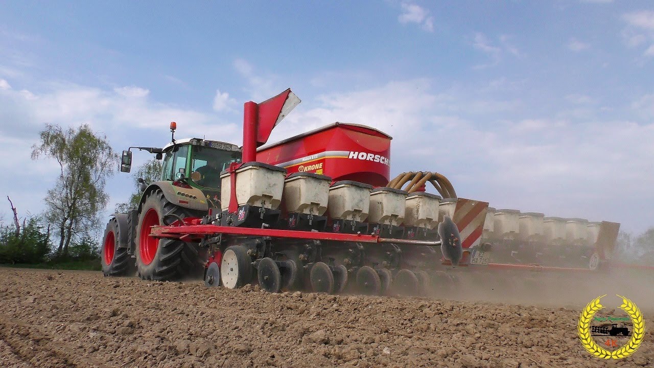 Mais Legen 2018 I Fendt 724 Vario I Horsch Maiestro 8 CC und 12 Reihen I maïszaaien