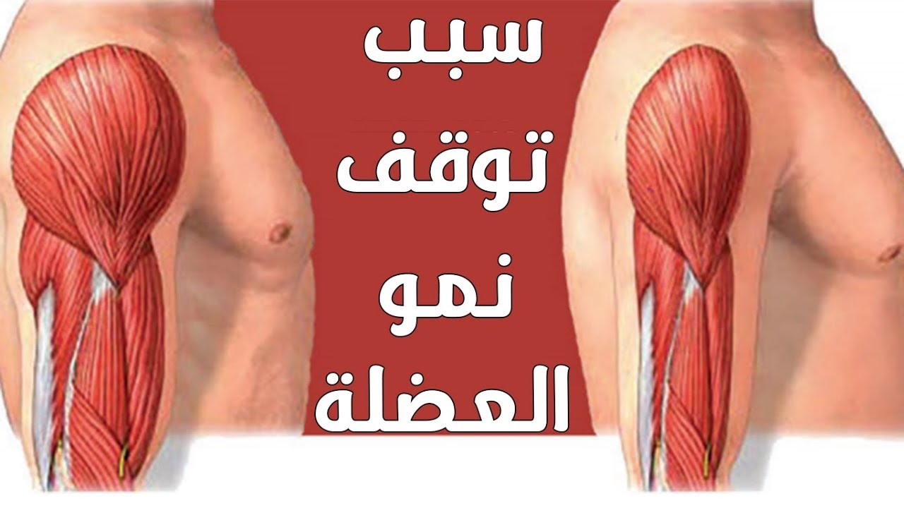 توقف النمو I لماذا لا تنمو عضلاتك