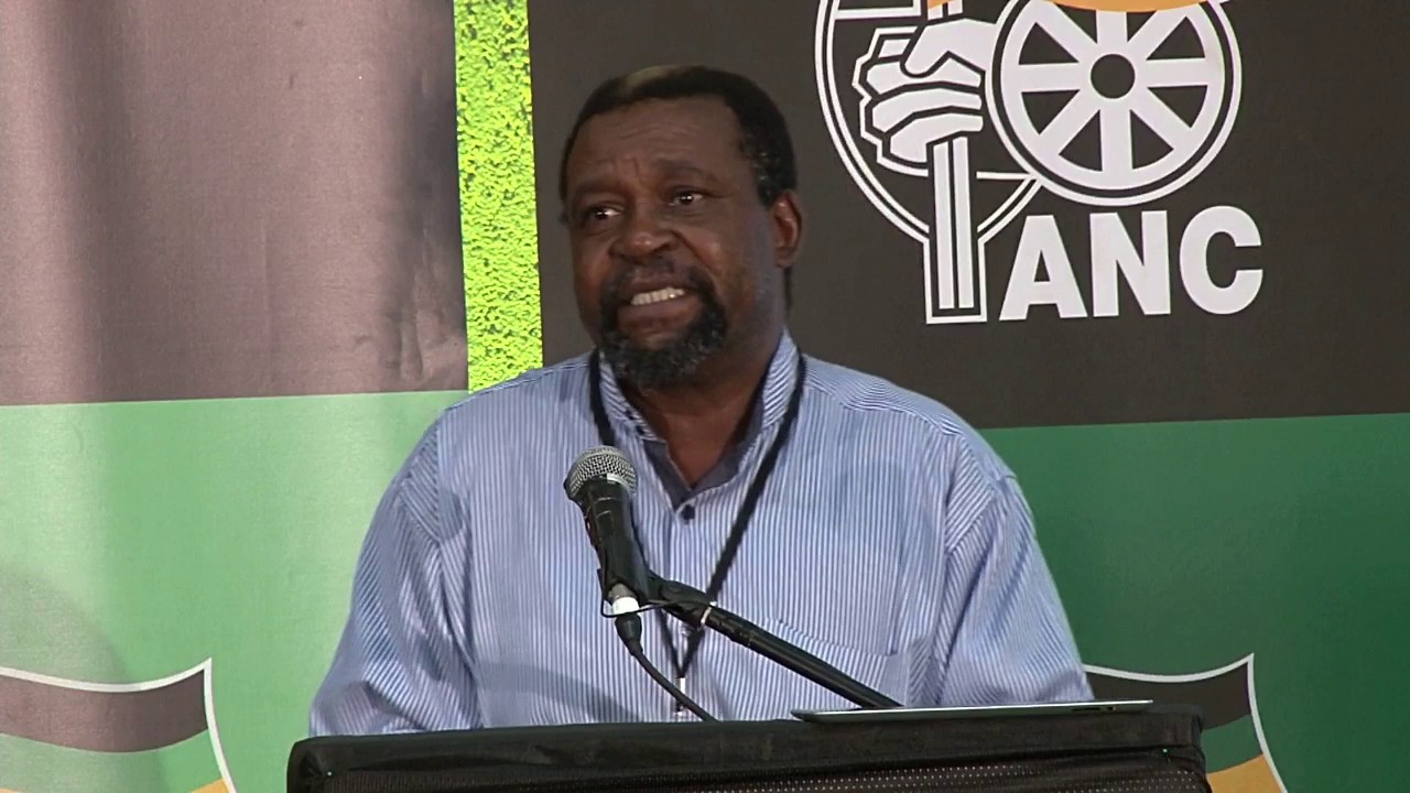 Cde Joel Netshitenzhe Political Overview