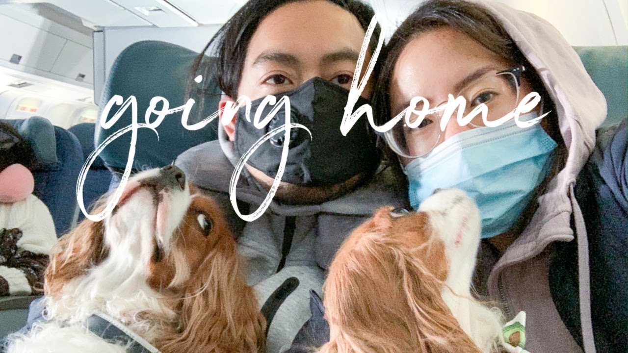 WE'RE GOING HOME! Flying with Dogs from LAX to Montreal VLOG