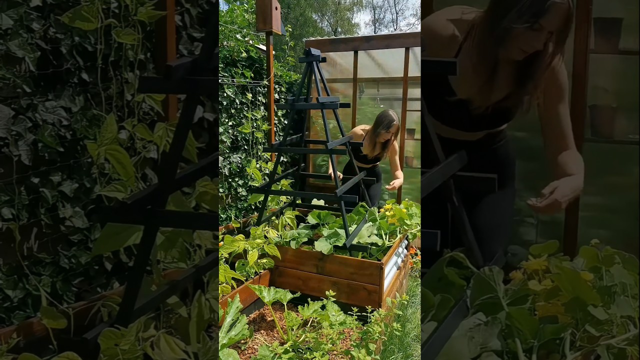 Taking My Pumpkin to the Next Level &ndash; DIY Trellis Build! 🎃