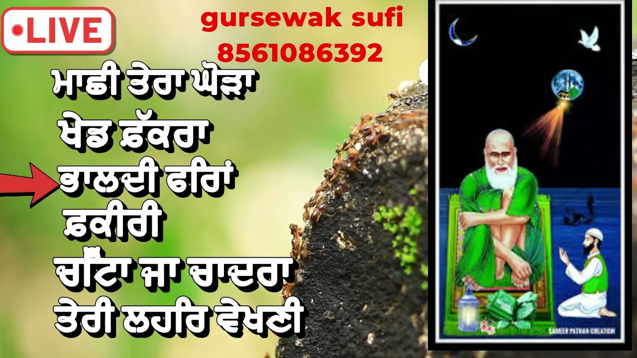 Nonstop  jass Gursewak sufi 