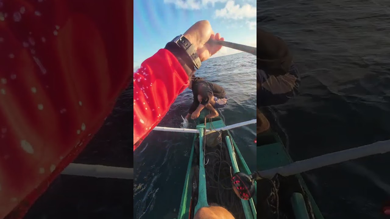 1.5KG GT🤟peace on🙂💥🙂