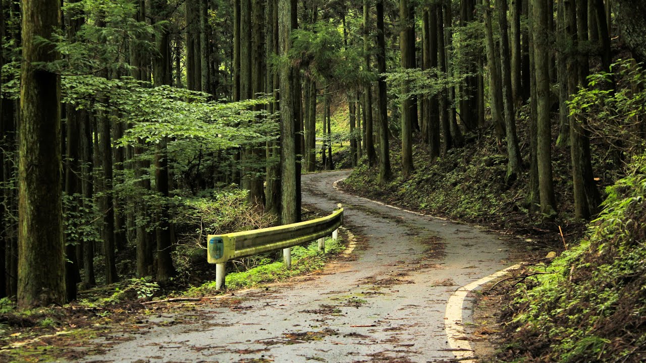 【険道★/ﾂｨｽﾃｨﾝｸﾞﾛｰﾄﾞ】三重県道755号 老ヶ野古田青山線 part 2【自衛隊分屯地・ﾒﾅｰﾄﾞ青山ﾘｿﾞｰﾄ】