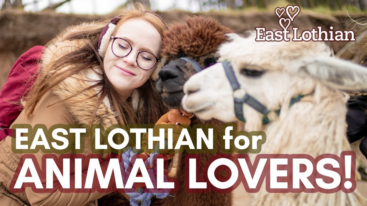 Love East Lothian For Animal Lovers!