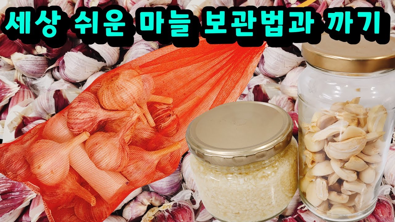 💚세상 쉬운 마늘 장기보관법과 마늘까기/ 1년을 두어도 썩지 않아요