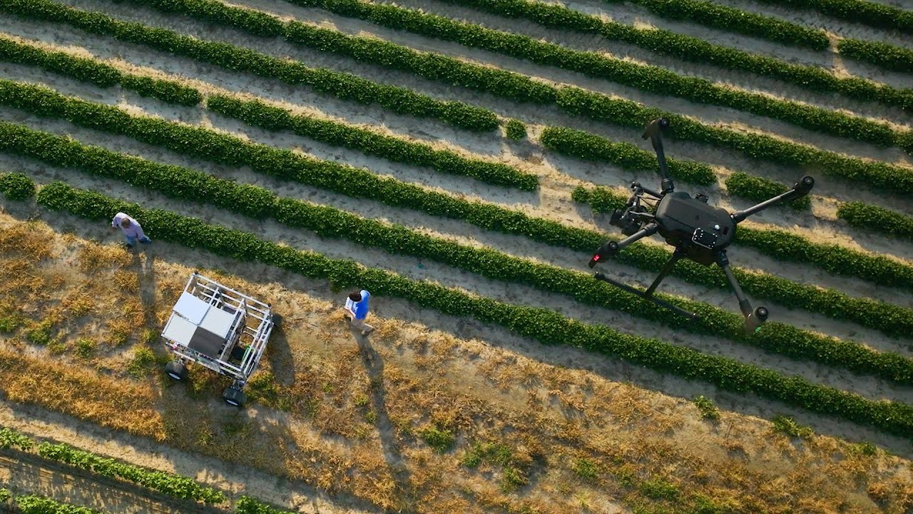 Biosystems Engineering - Department of Agricultural & Biological Engineering