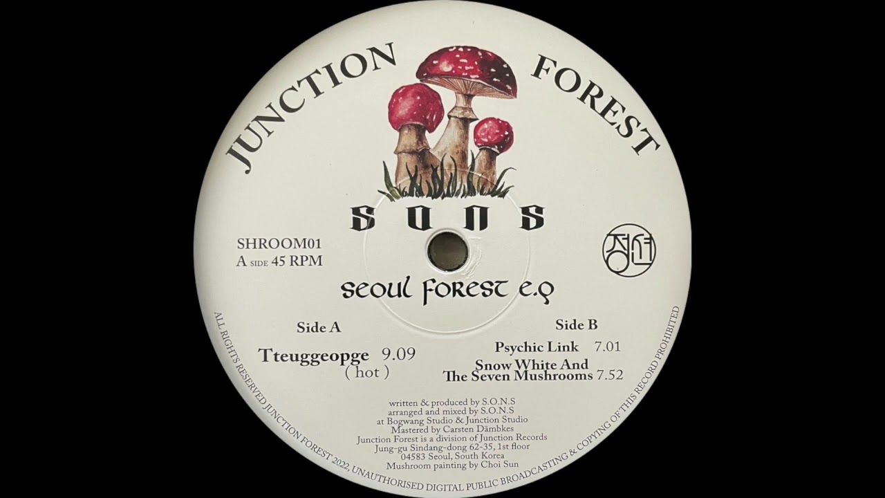 [PREMIERE] Tteugeopge - S.O.N.S. | Junction Forest [2022]