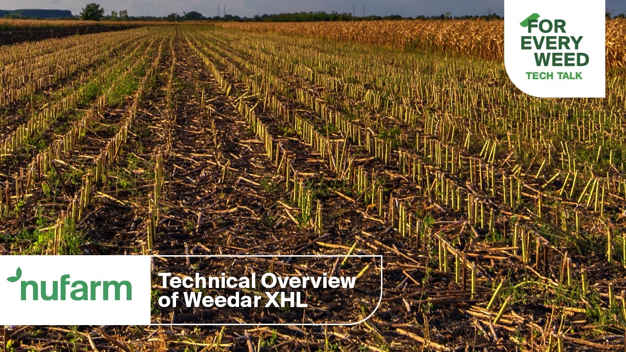 Technical Overview of Weedar XHL