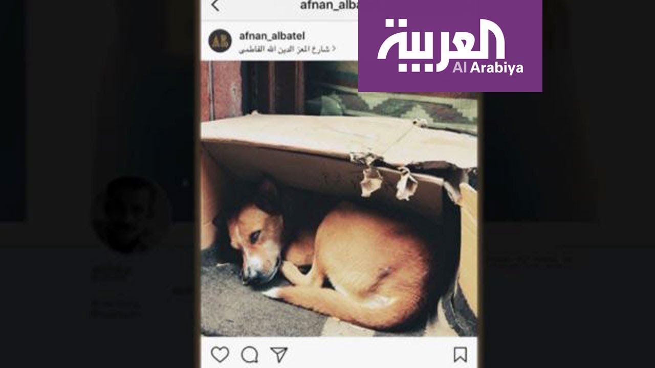 #تغريدة_اليوم .. اتهام أفنان الباتل بالسرقة