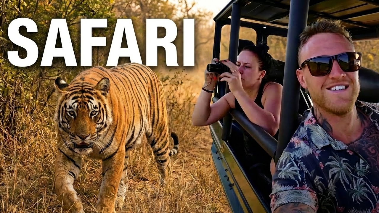 How Hard Is It to Find Wild Tigers in India?
