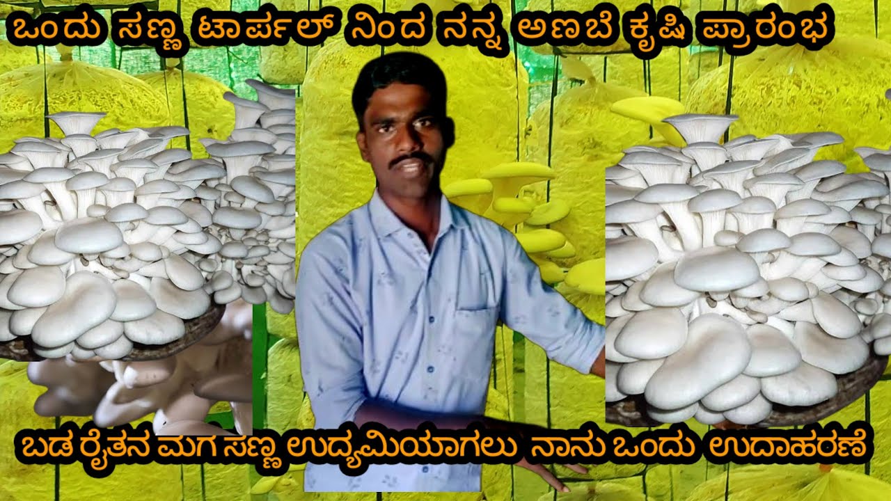 ಬಡ ರೈತನ ಮಗ ಸಣ್ಣ ಉದ್ಯಮಿಯಾಗಲು  ನಾನು ಒಂದು  ಉದಾಹರಣೆ 