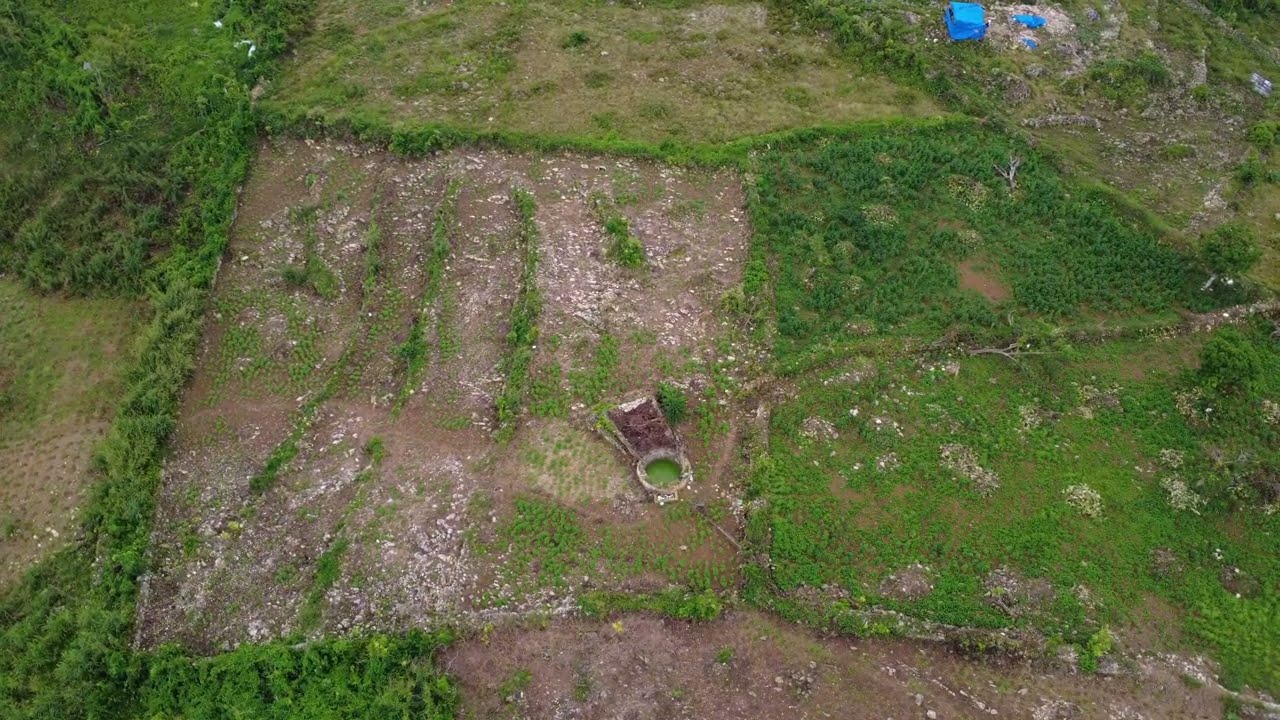 5.5 Acres of Land in St. Elizabeth Jamaica | Investment Opportunity