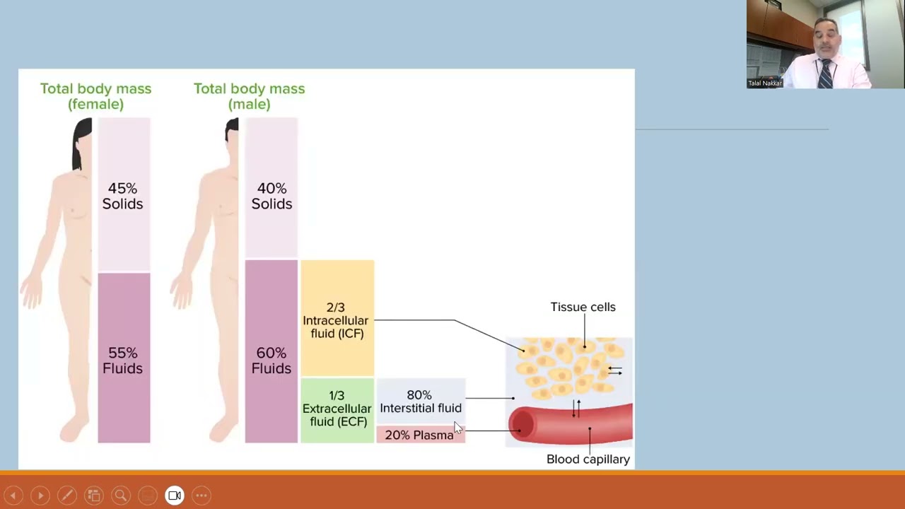 04  Body fluid compartments