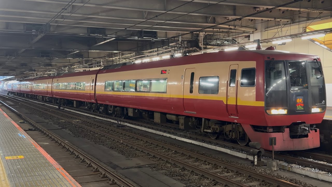 【4K高画質】253系1000番台ｵｵOM-N02編成が臨時特急日光22号新宿行きとして大宮駅4番線に到着停車〜発車するまでのフルシーン（8122M）2026.2.22 17:24