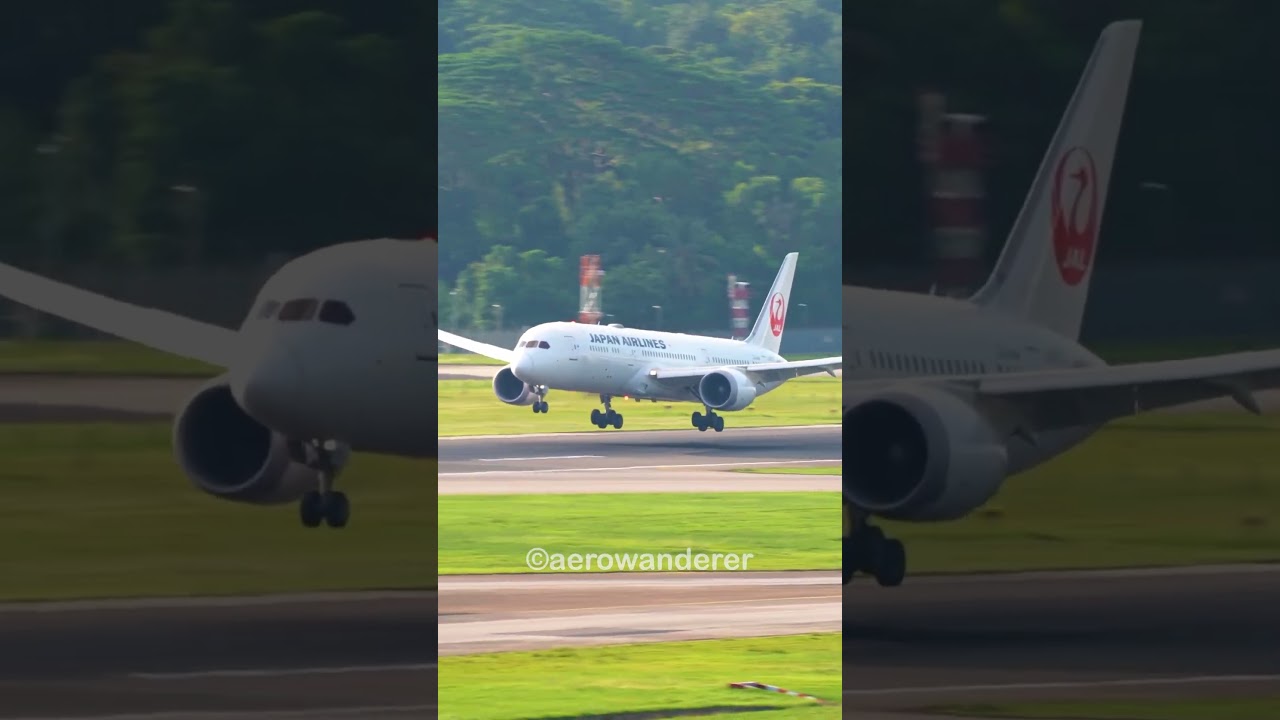JAPAN AIRLINES B787-9 landing at Singapore Changi Airport #shorts #b787 #landing #youtubeshorts