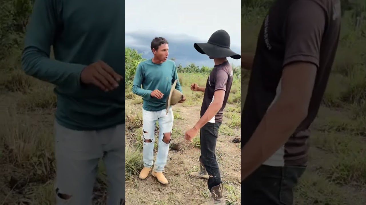 Calango se sente o dono das terras do seu Miguel ￼￼e os funcionários disse obedecer so o Patrao 