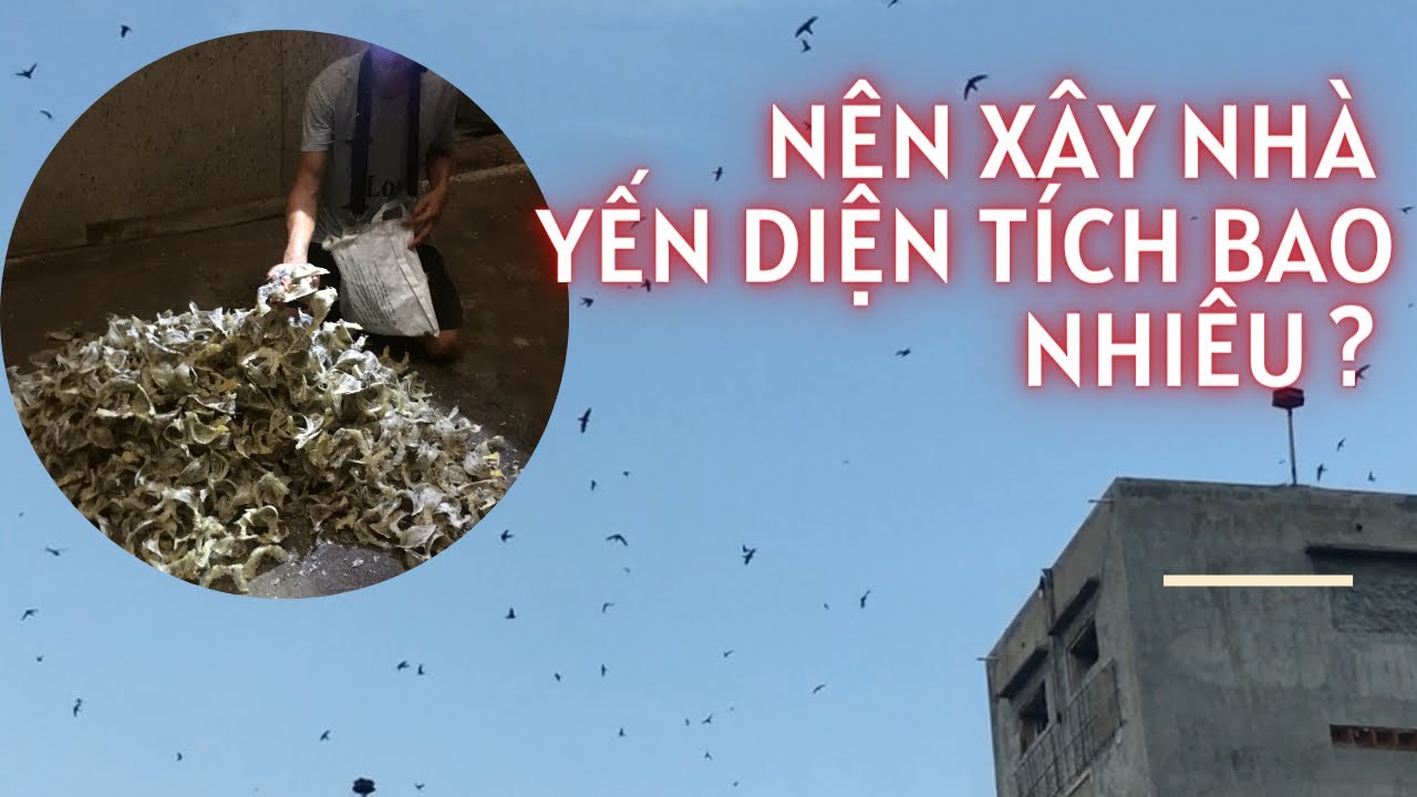 Xây nhà Yến diện tích bao nhiêu cho phù hợp