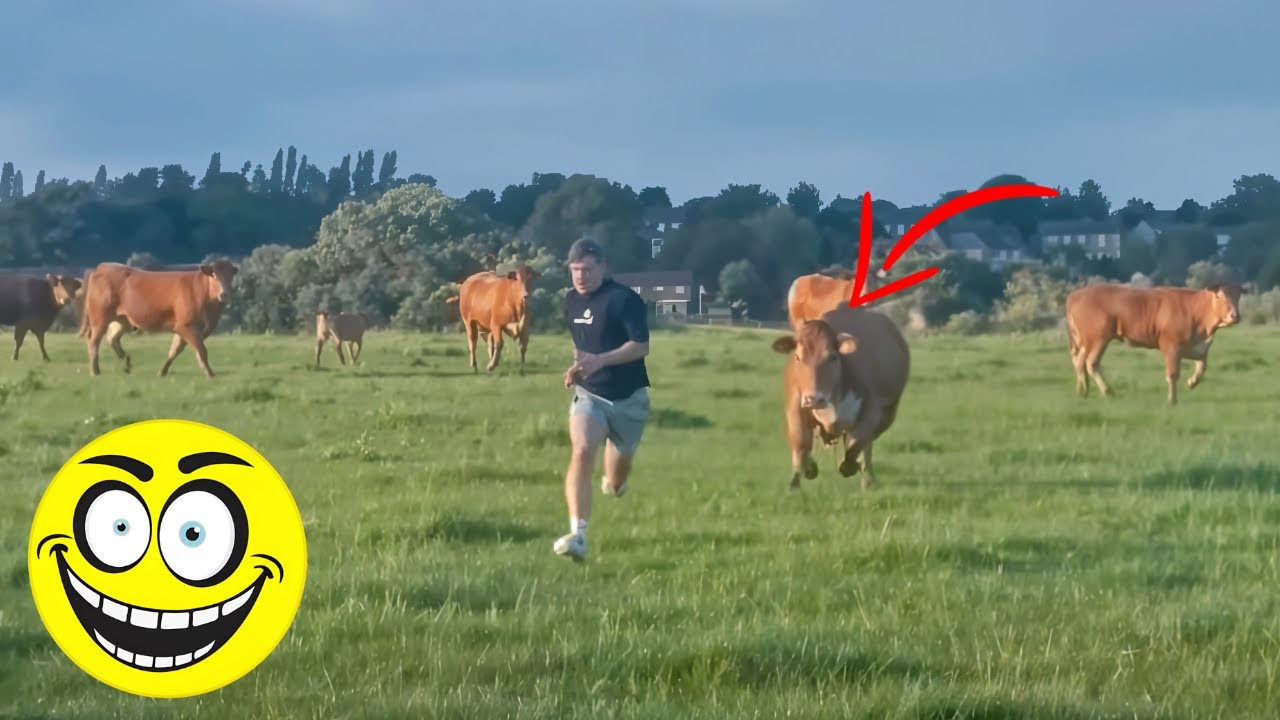 VIDEOS ENGRAÇADOS e memes de 2025 5 #humor #comedia #memes #tentenãorir2025 #videosengraçados