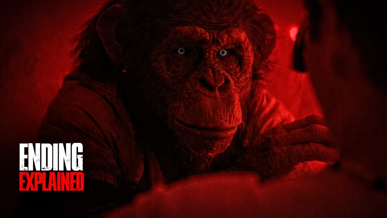 PRIMATE (2026) | New English Survival Horror Full Movie Recap & Ending Explained in Hindi/Urdu | HWD