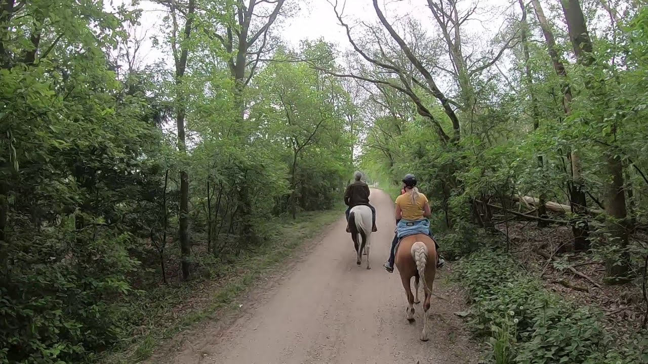 Trailride with Popcorn and friends!