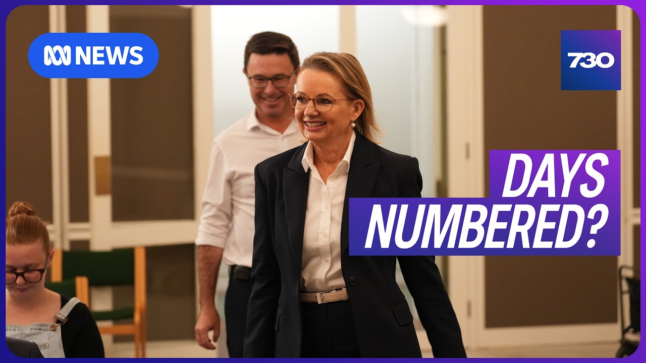 Momentum is building for a Liberal leadership spill | 7.30