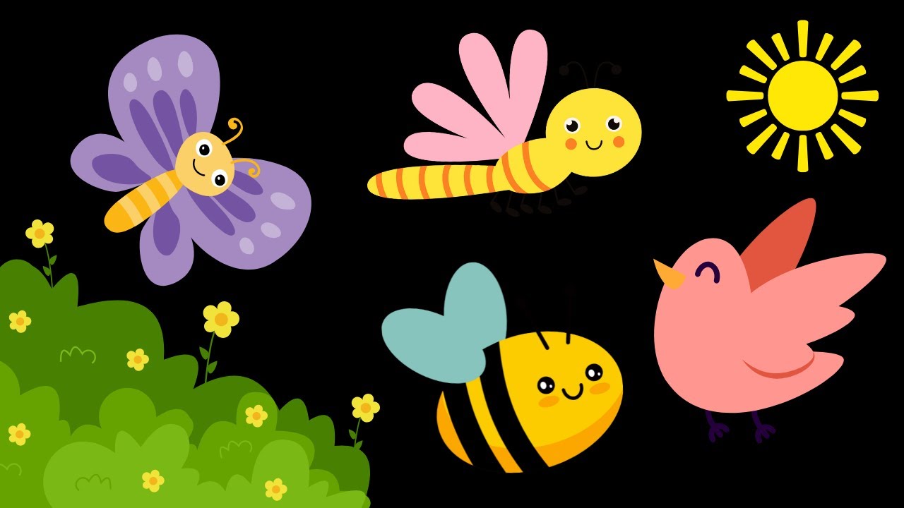 Baby Sensory Video - Calm Baby Music - Sensory Videos For Babies - Visual Stimulation Newborn #baby