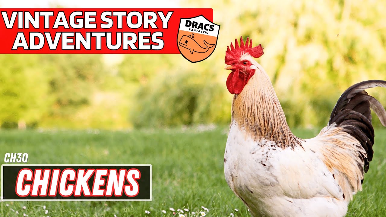 VINTAGE STORY ADVENTURES: CHICKENS