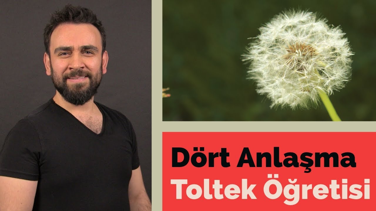D&ouml;rt Anlaşma