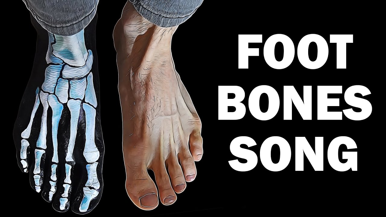 FOOT BONES SONG