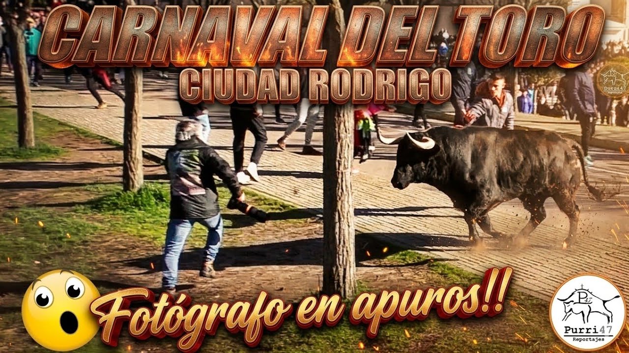 🧡🧡TORO DEL ANTRUEJO🧡🧡+ENCIERRO CON 4TOROS🚨SUSTOS EN LOS PINOS👀🔥