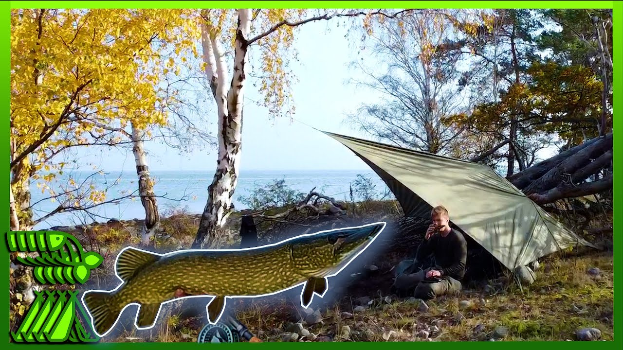 Trout fly fishing turned into Pike fly fishing!