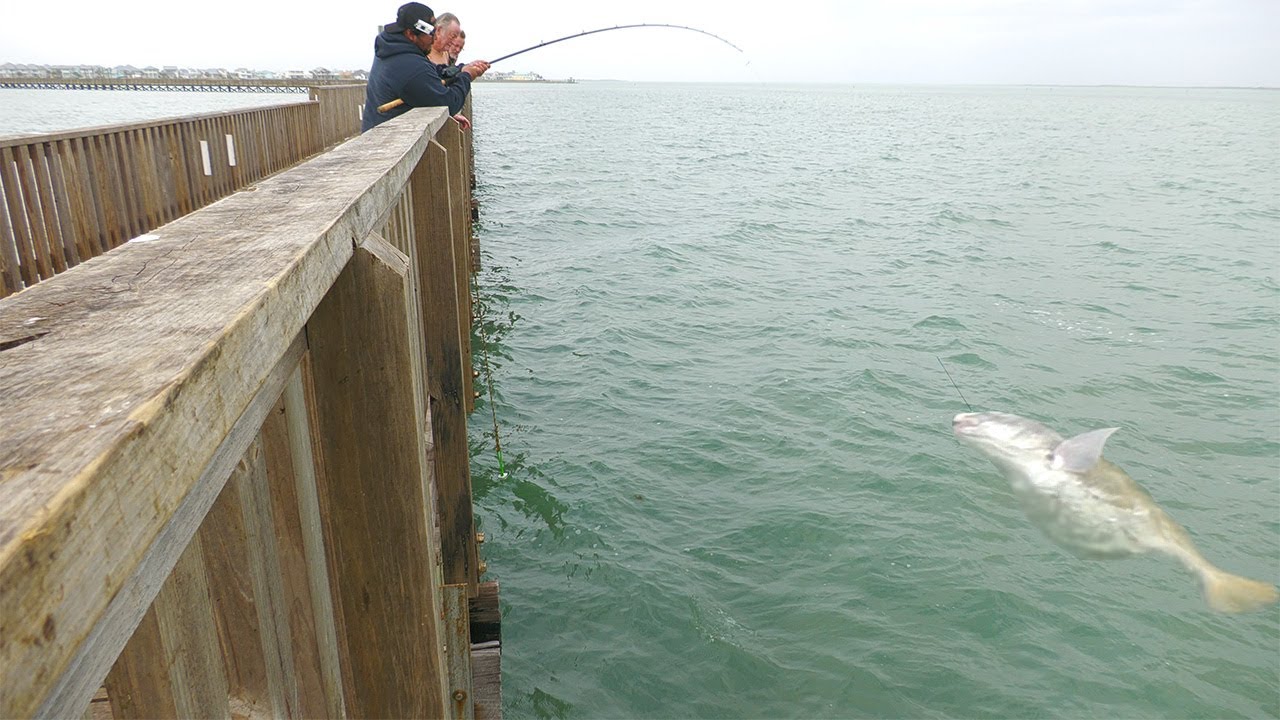 I HAD TO QUIT, Too Many Giant Fish!