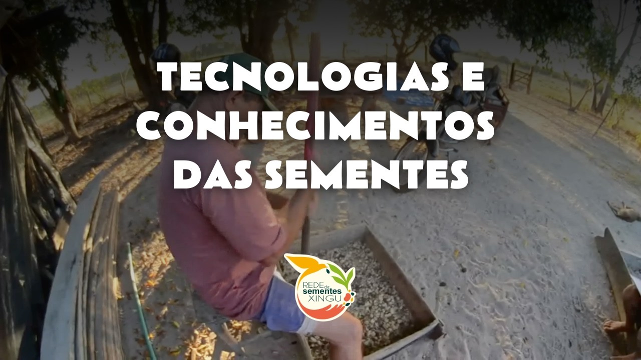 Como manejar sementes florestais?