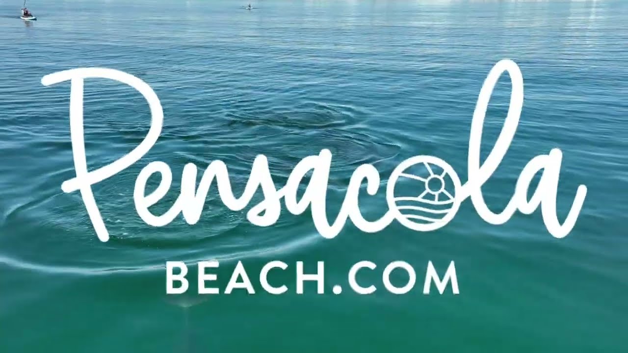 Pensacola Beach Dolphin Cruises | Best Dolphin Cruises Pensacola Beach