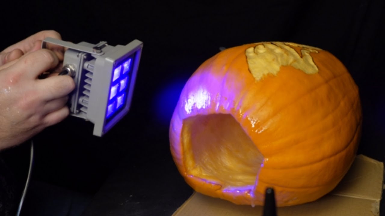 How to make a carved pumpkin last for WEEKS!