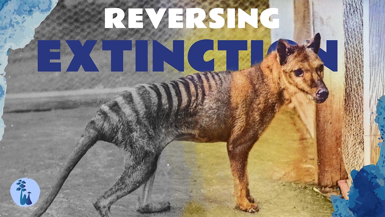 Could De-Extinction be the Future of Conservation?