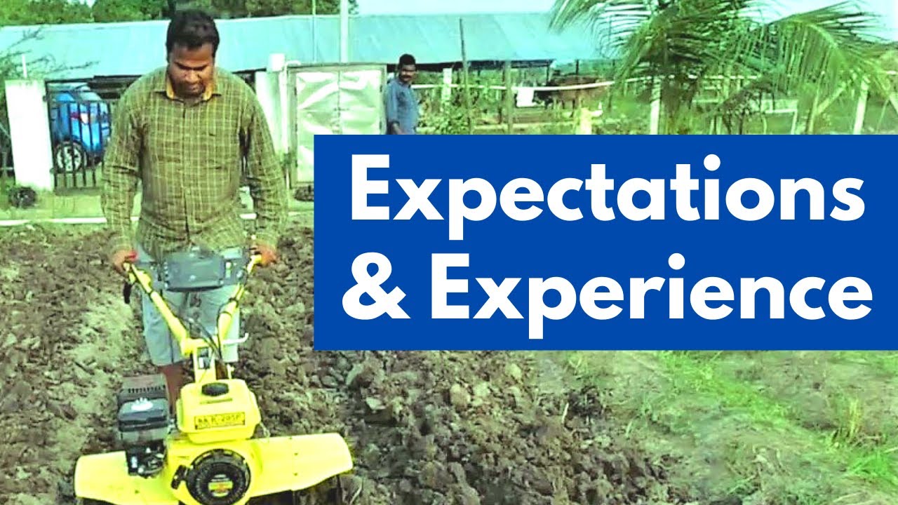 My expectations & experience in farming.