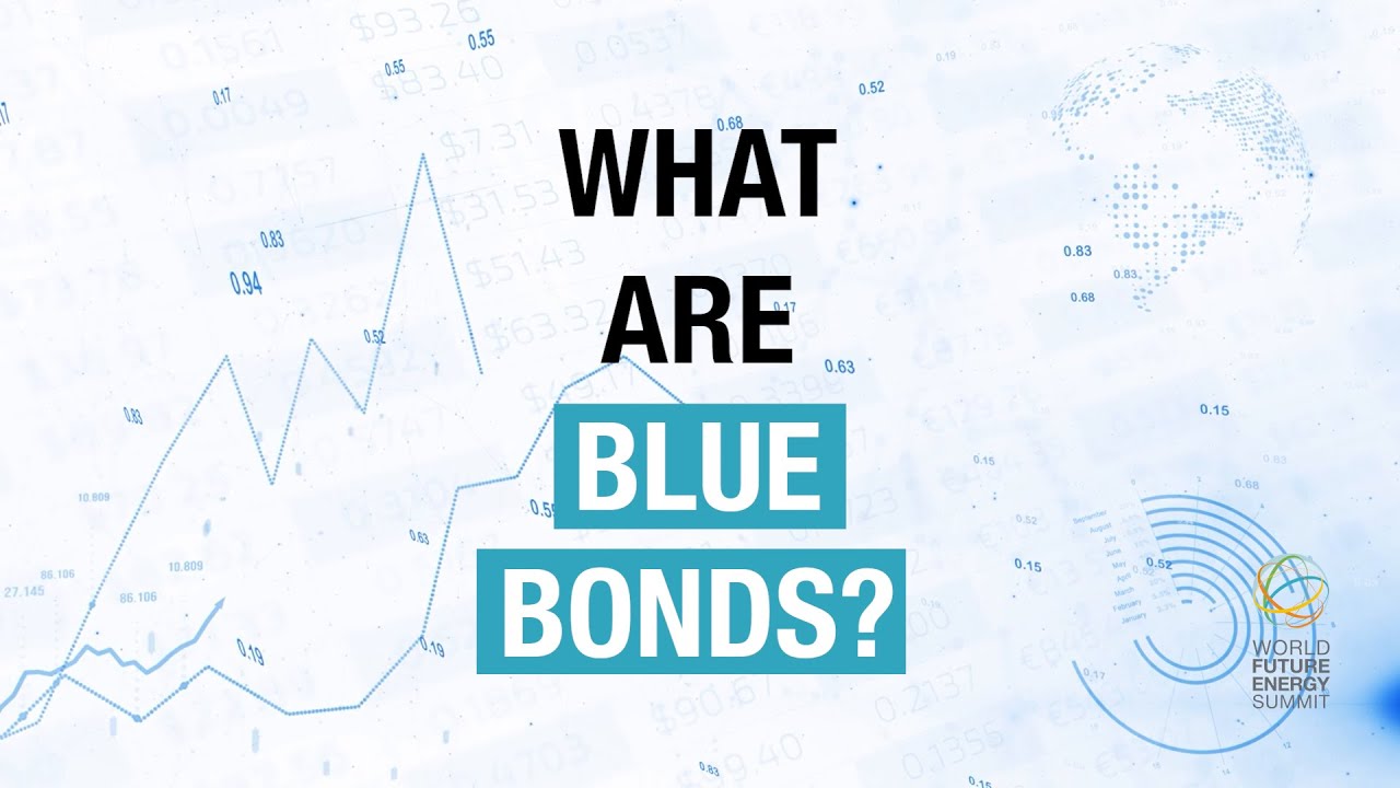 What Are Blue Bonds?