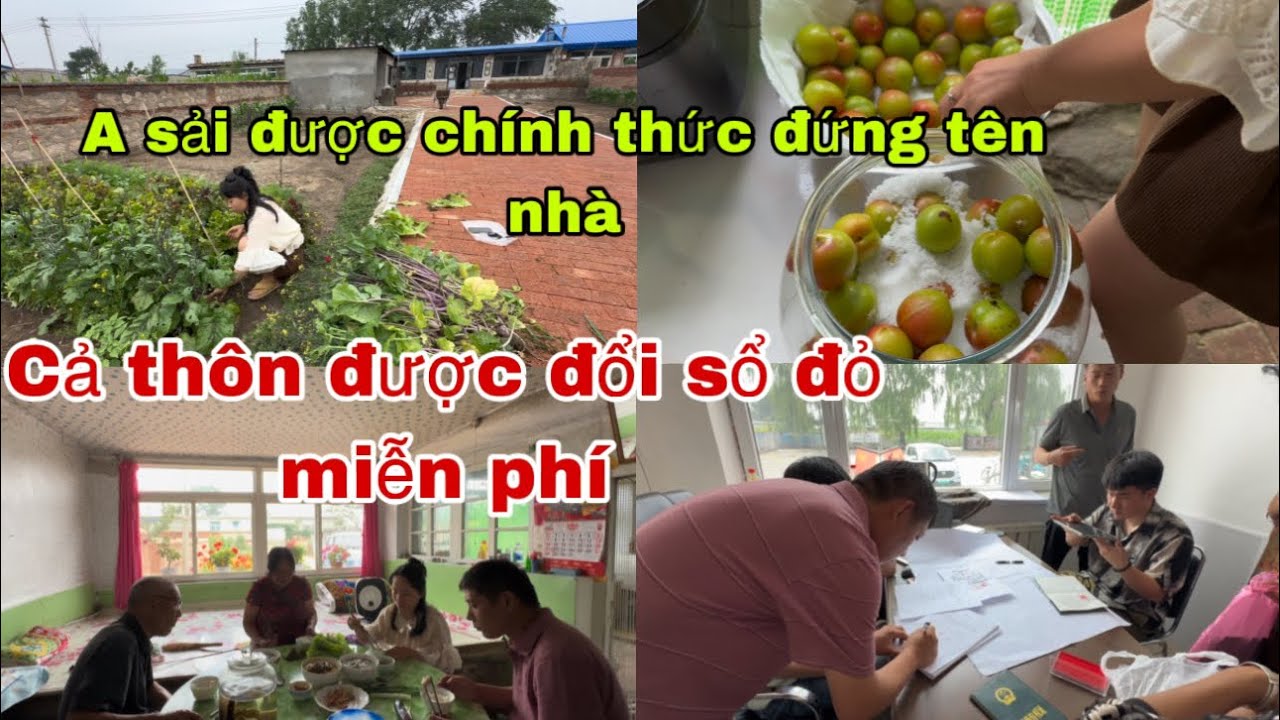 #424🇨🇳Cả Thôn Được Đổi sổ đỏ Miễn phí,a Sải chính thức được đứng tên nhà,em Cảm Ơn khán giả youtube