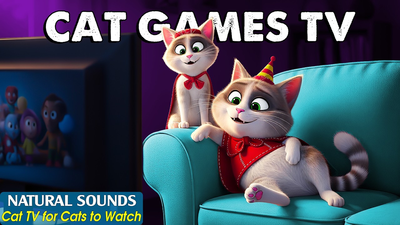 Ultimate Cat TV for CATS－Cat Games on Screen😼Stimulating Videos for Cats at Home | Cat Entertainment